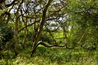 Copy of DSC_5664 (1)